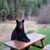 Sue DeRoos's profile image