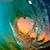 Bob Lunceford's profile image