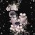 Frizzla Thompson's profile image