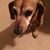 Rhonda Reece's profile image