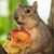 Jayme Richards's profile image