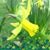 Cynthia N Turk's profile image