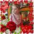 Kathy John Carroll's profile image