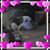 Robin Heine's profile image