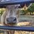 Chuck N Corinna Bayne's profile image