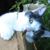 Terry Sheehan's profile image