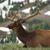Paul M Swarts's profile image