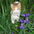 Dorothy Rewkowski's profile image
