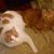 Carole Keene's profile image