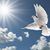 Shalom Israel's profile image