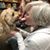 Leann Phillips Poehler's profile image