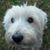Sheryl Helms's profile image