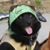Bill Biggs's profile image
