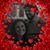 Carol Stuber Schierbaum's profile image