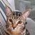 Shawna Rockwood's profile image