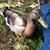 Eddie Cathers's profile image