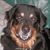 Heather Harah Bennett's profile image