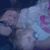 Jessica Lee Ann Vicsik's profile image