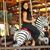 Natalie Novosel's profile image