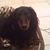 MaryLou Bannister's profile image