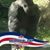 Amy Kremlacek's profile image