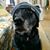 Kristian Burrin's profile image