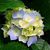 Maryann Burch's profile image