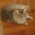 Ruth Kubinski's profile image