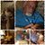 Mark Corea's profile image