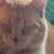 Grace Hampton's profile image