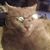 Jackie Pretzer Parsons's profile image