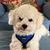 Connie Redding Maxey's profile image