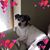 Jacqueline Mckee's profile image