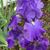 Mary Agnew's profile image