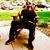 Joe Mendes's profile image