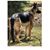 Lori Henne DeJong's profile image