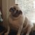 Chris Roby Kilburn's profile image