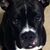 Teresa Welborn's profile image