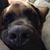 Cassy Brown Wacker's profile image