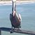 Mike Thompson's profile image
