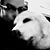 Steve Jackson's profile image