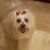 Christine Wallace's profile image