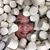 Felicia Glover's profile image