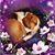 Fran DeCinto's profile image