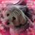 Wendy Felde's profile image