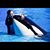 Shana Groves Rodriguez's profile image