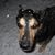 Tedi Kay Kohinke's profile image
