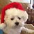 Sheila Edmunds's profile image