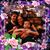 Jennifer L Ostrow's profile image