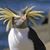 Christine Flores's profile image